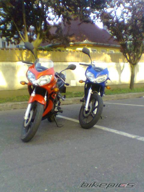 Photo 472059