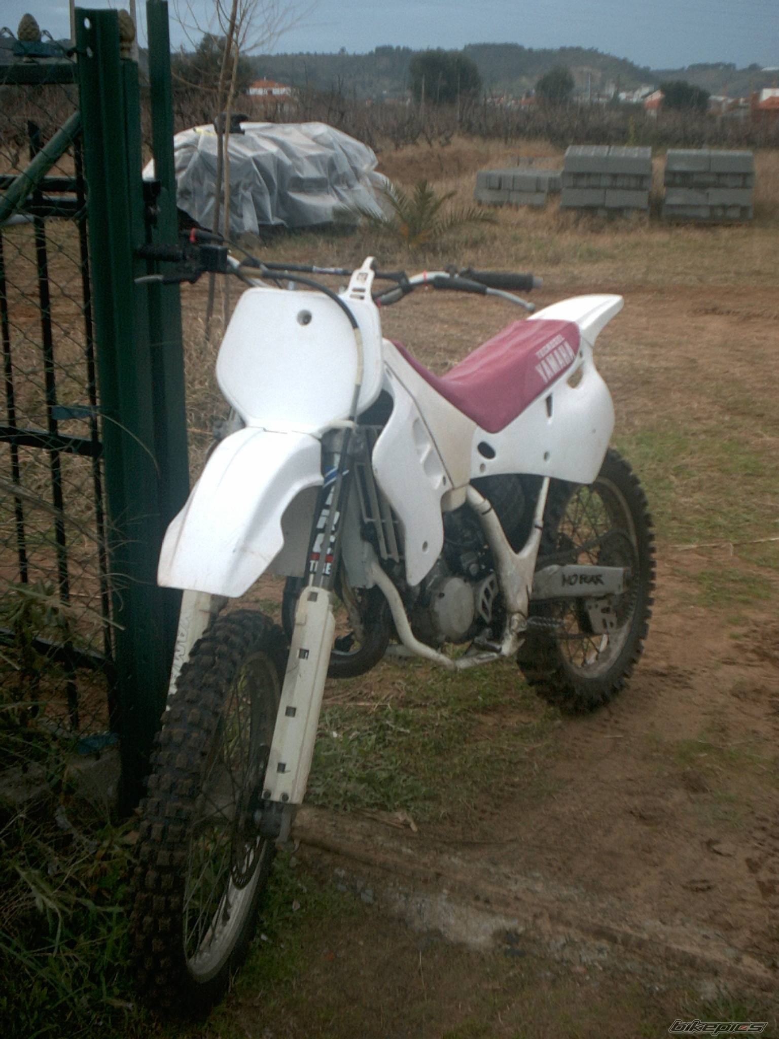 Photo 47229