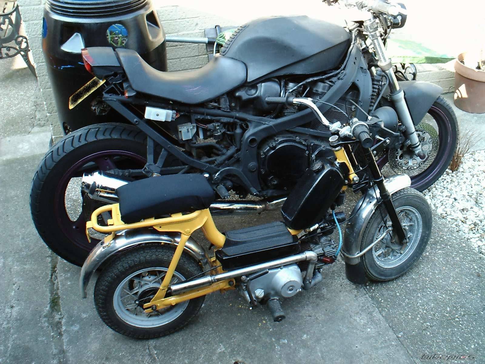 Photo 472467