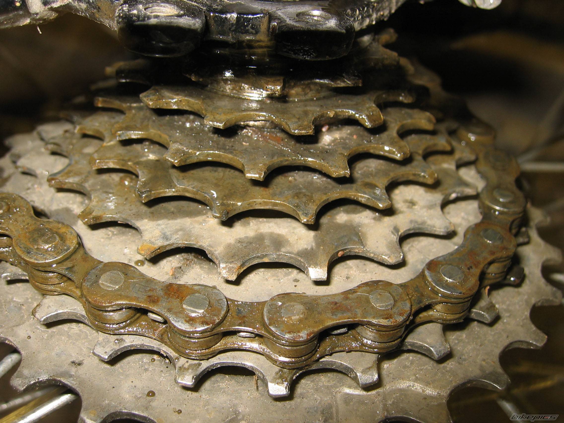 Photo 473073