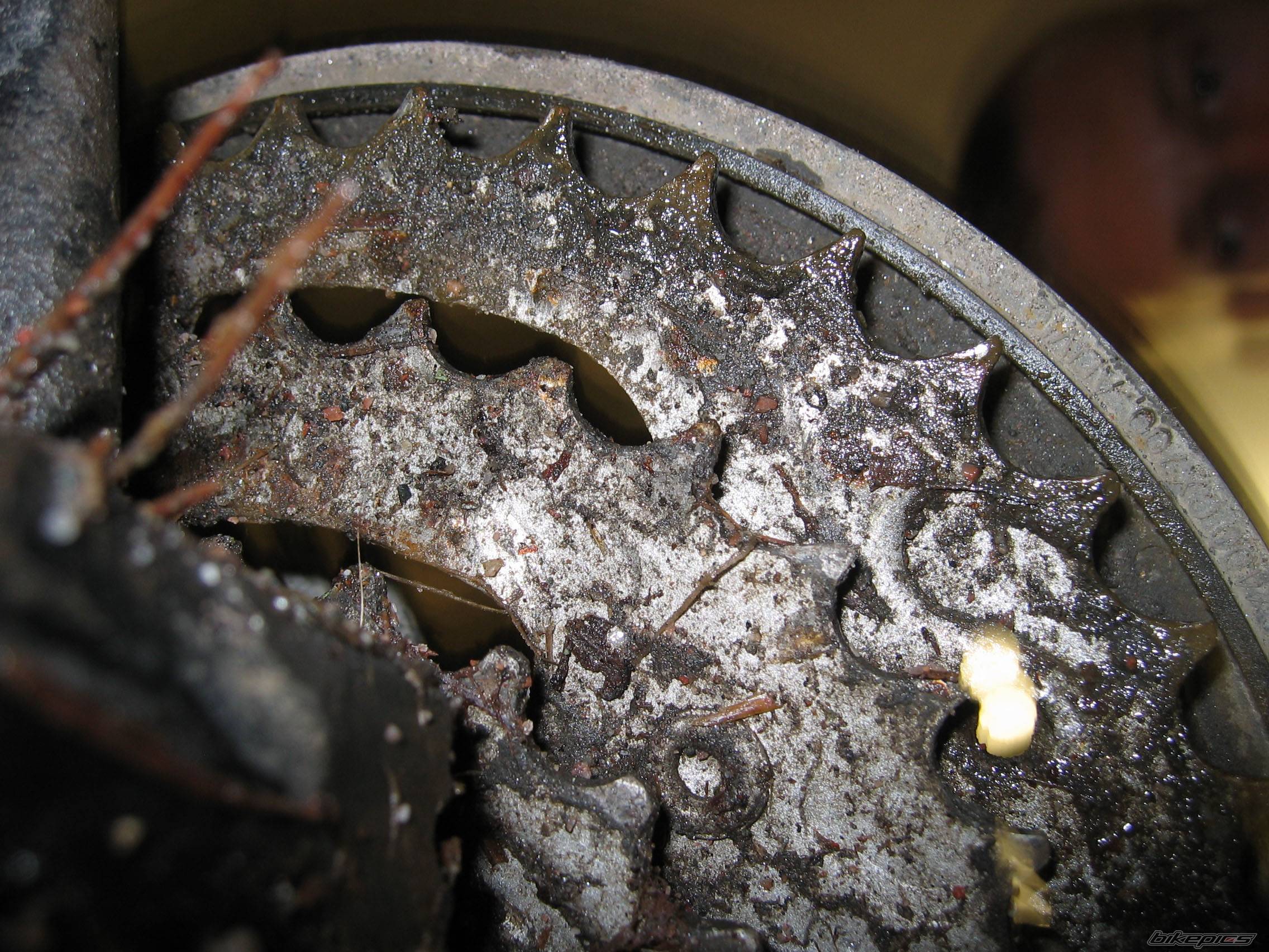 Photo 473076