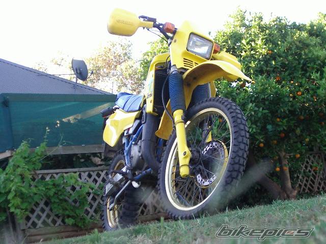 Photo 473327