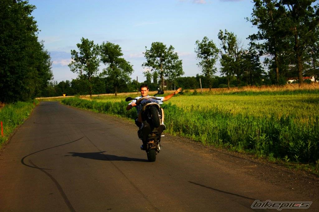 Photo 473376