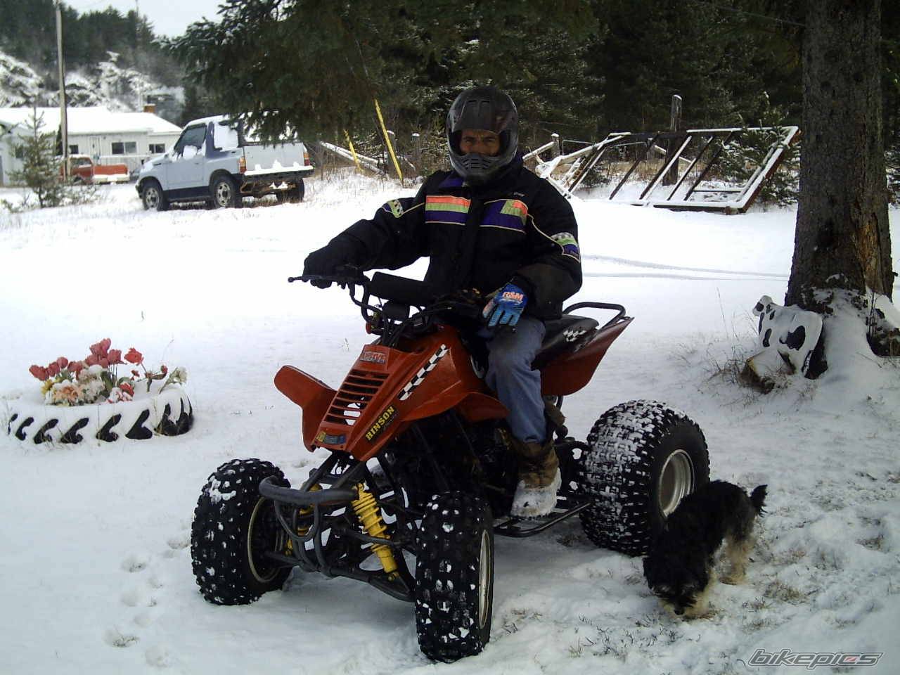 Photo 473413