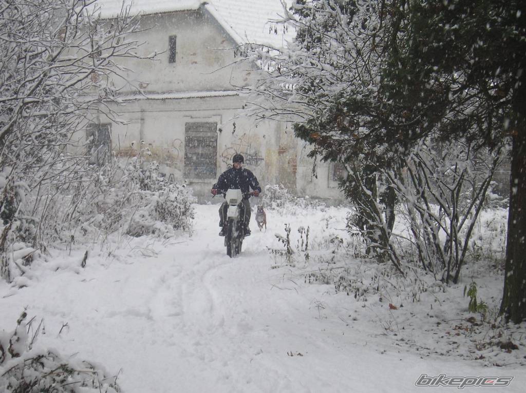 Bike Photo 473430