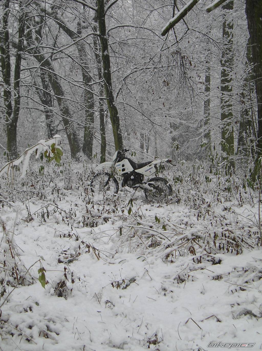 Bike Photo 473454