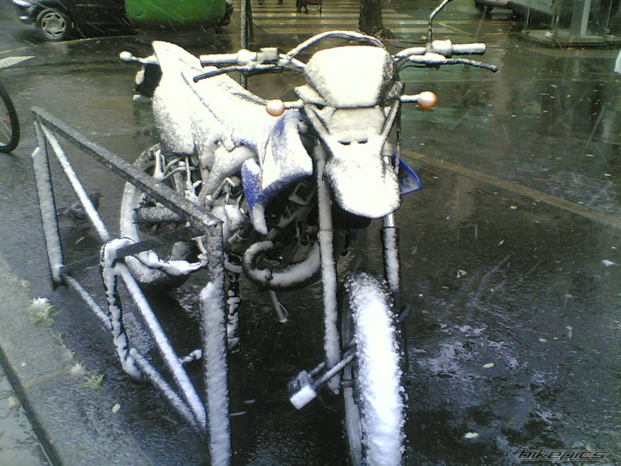 Photo 473462