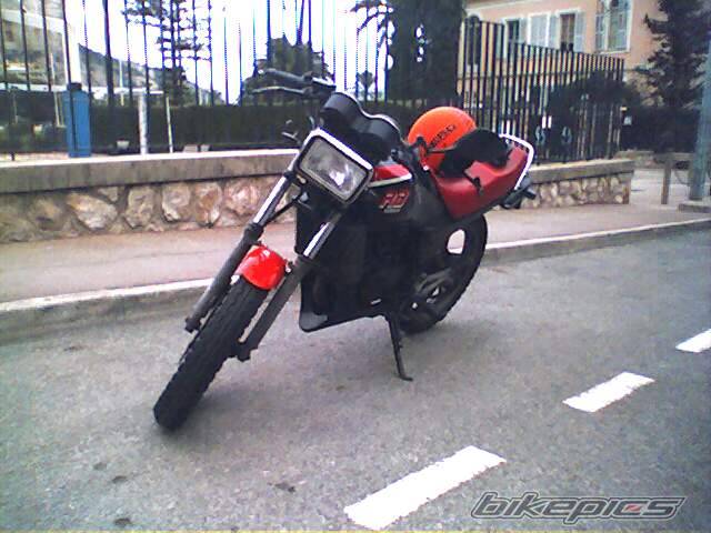 Photo 473505