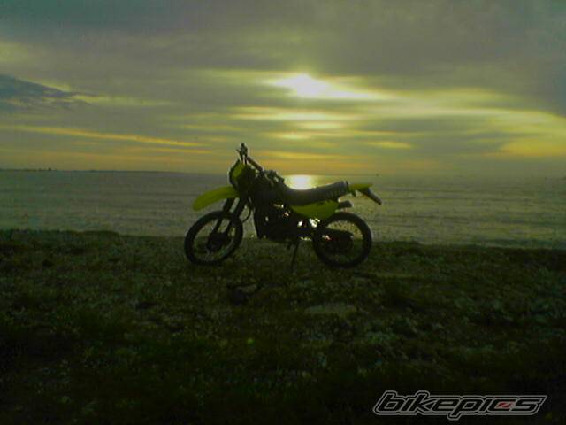 Photo 473635