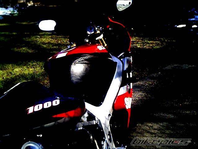 Photo 47364