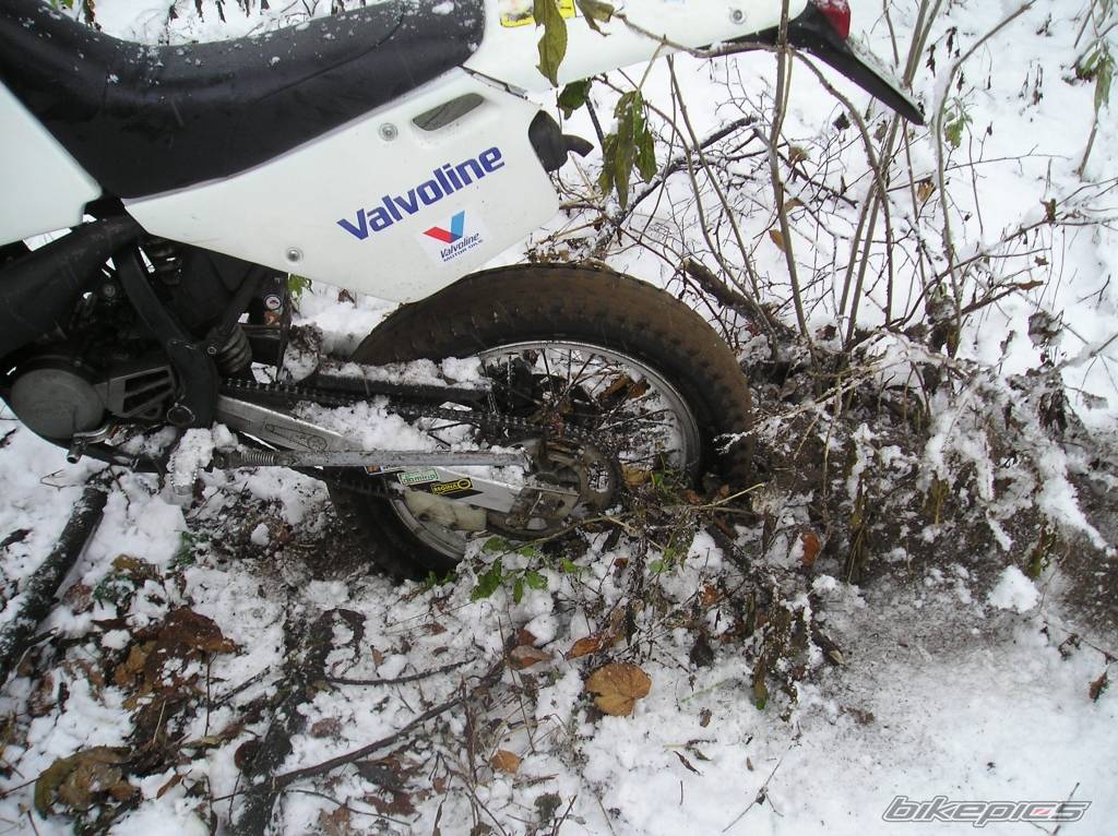 Bike Photo 473695