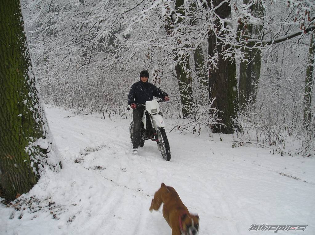 Bike Photo 473699