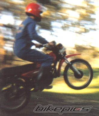 Photo 473823