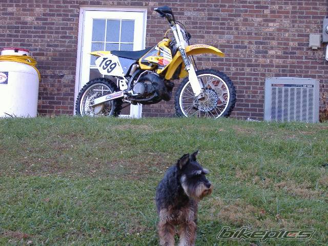Bike Photo 473869