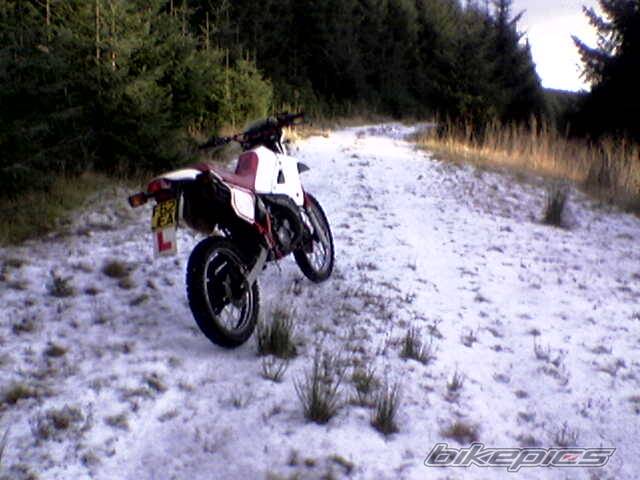 Photo 474164