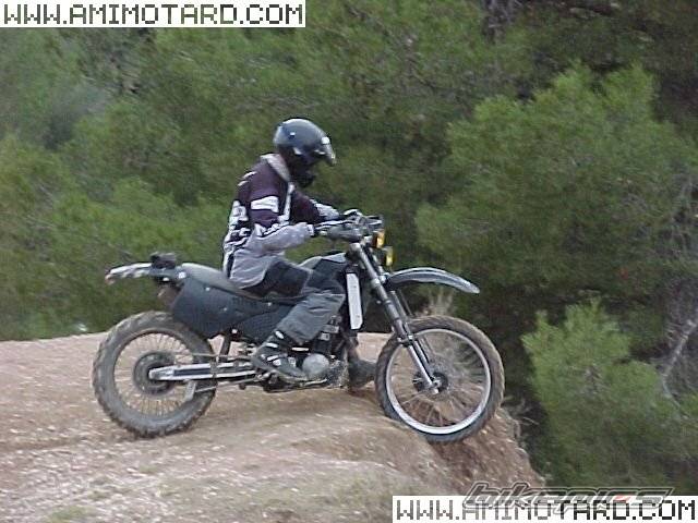 Photo 47421