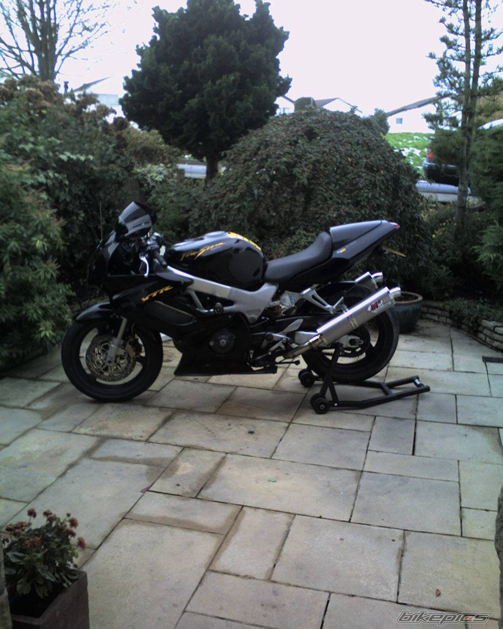 Photo 474219