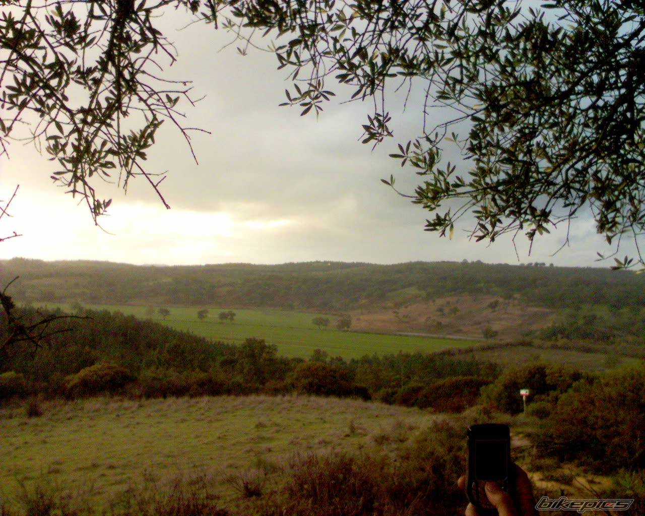 Photo 474316