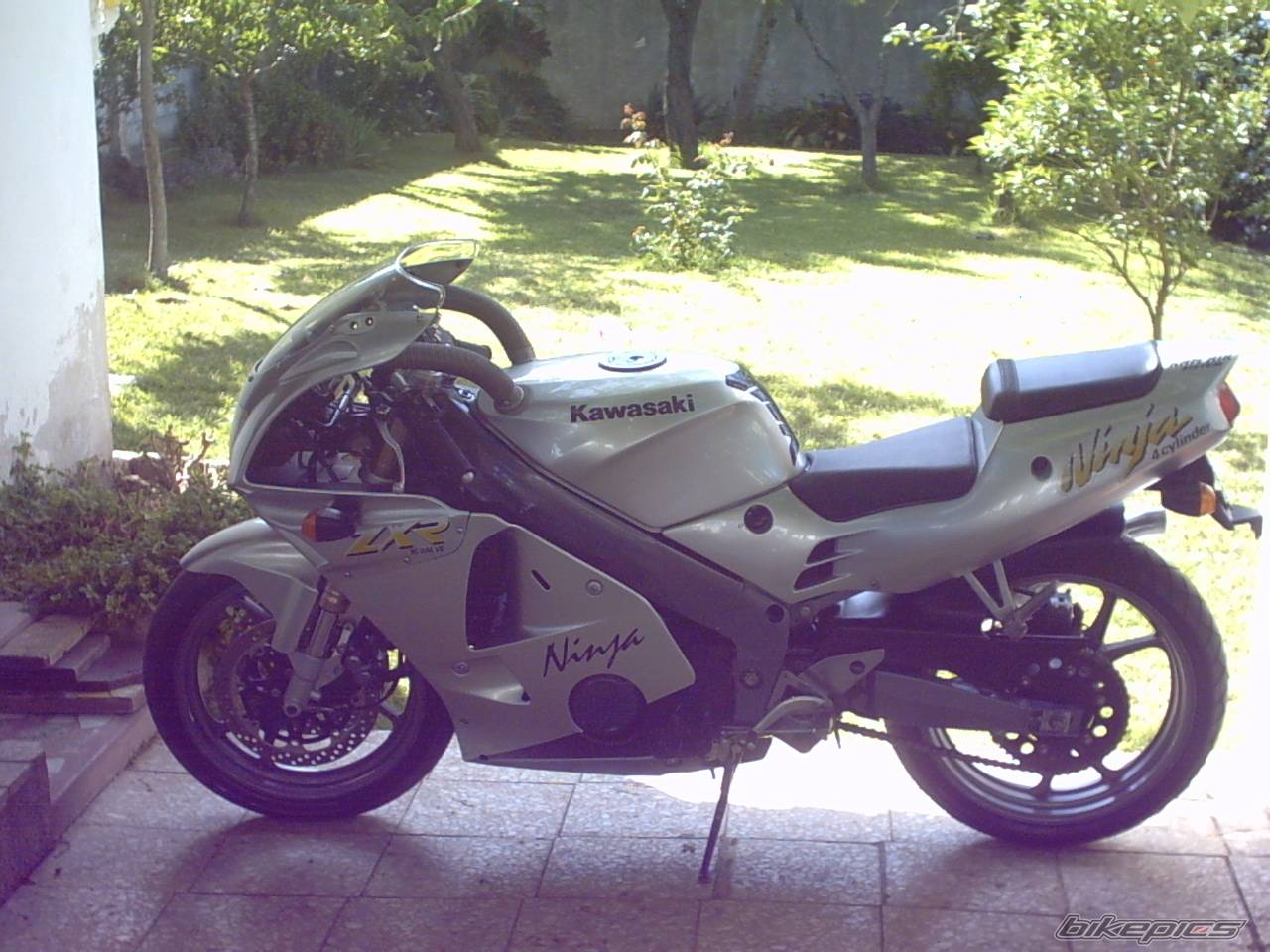Photo 474323