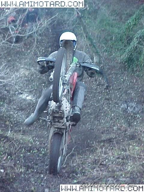 Bike Photo 47438