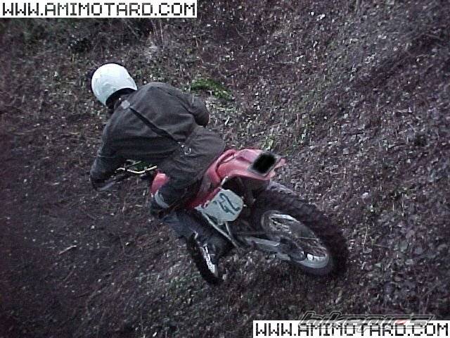Photo 47439