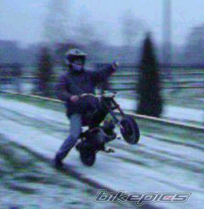 Photo 474434