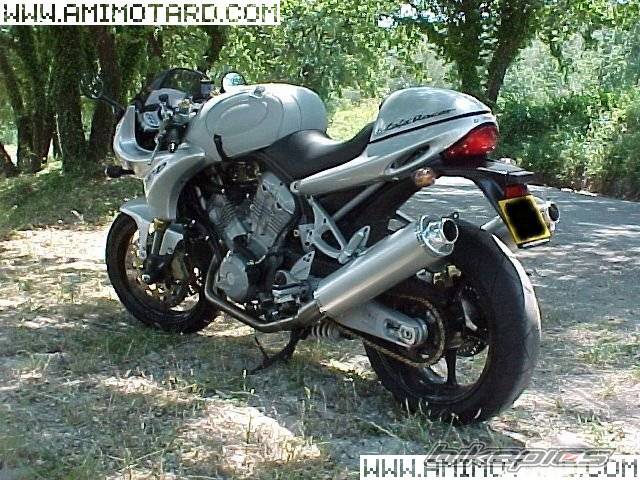 Photo 47450