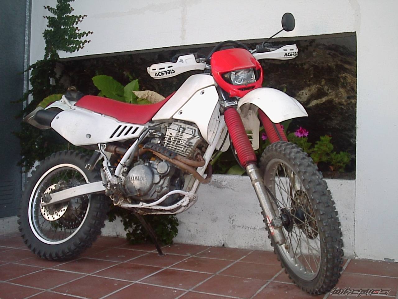 Photo 47460