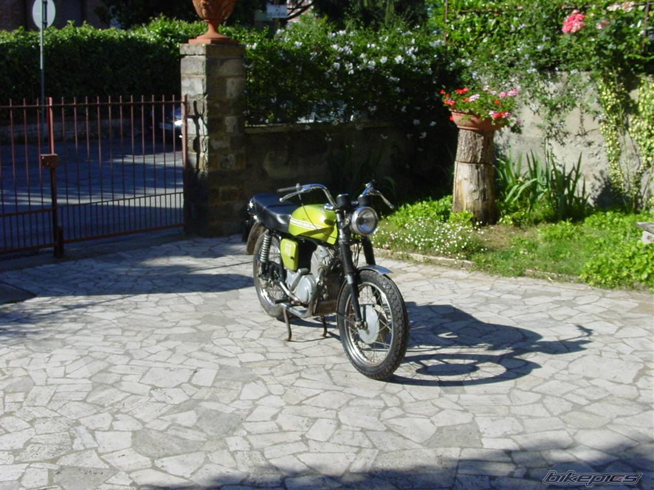 Photo 474774