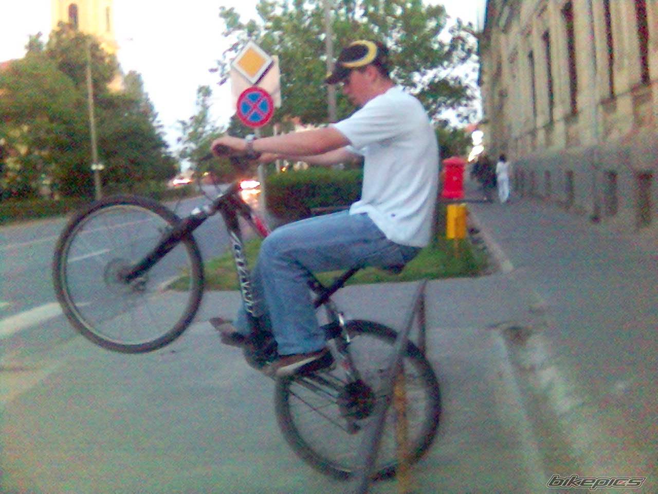 Photo 474791