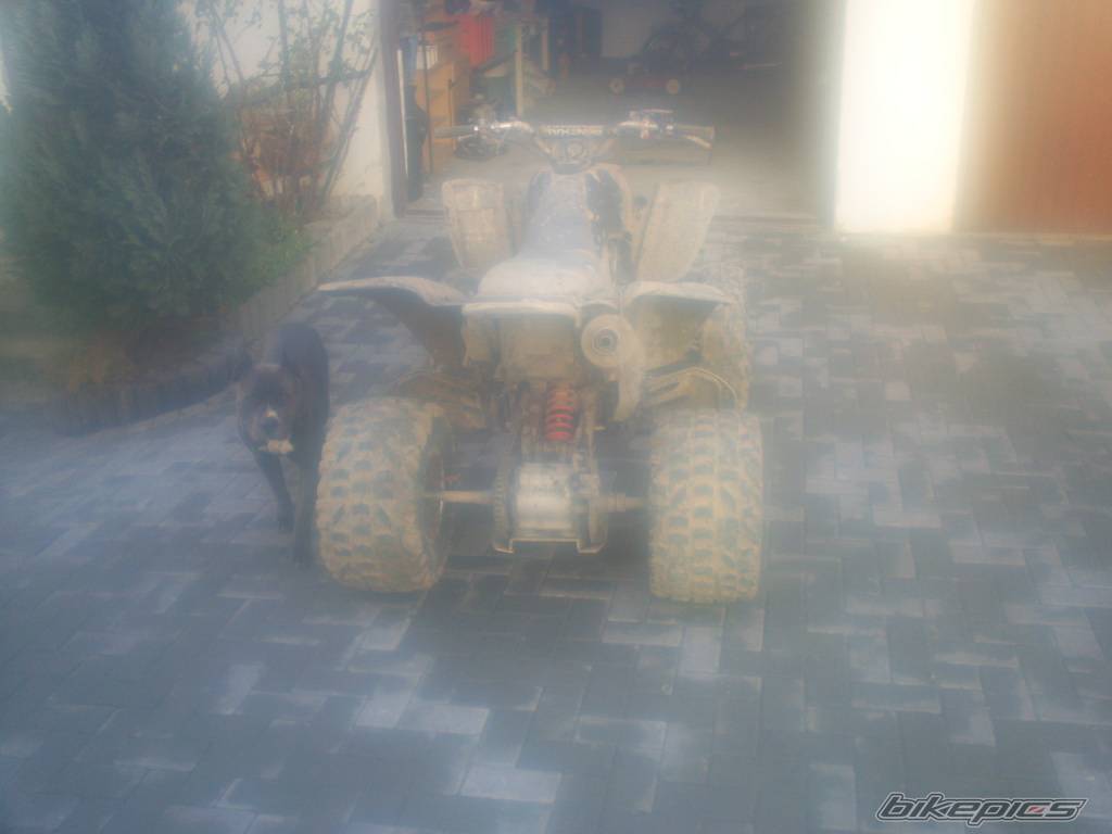 Photo 474813