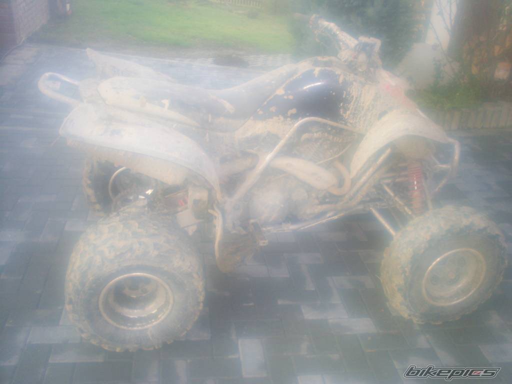 Photo 474815