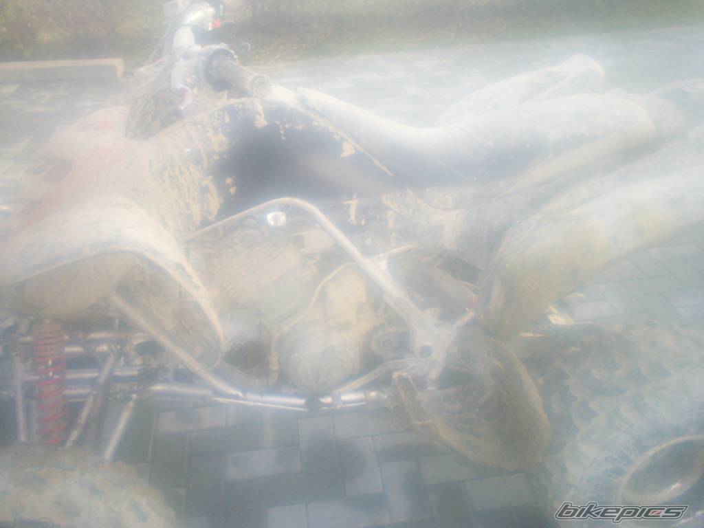 Photo 474819