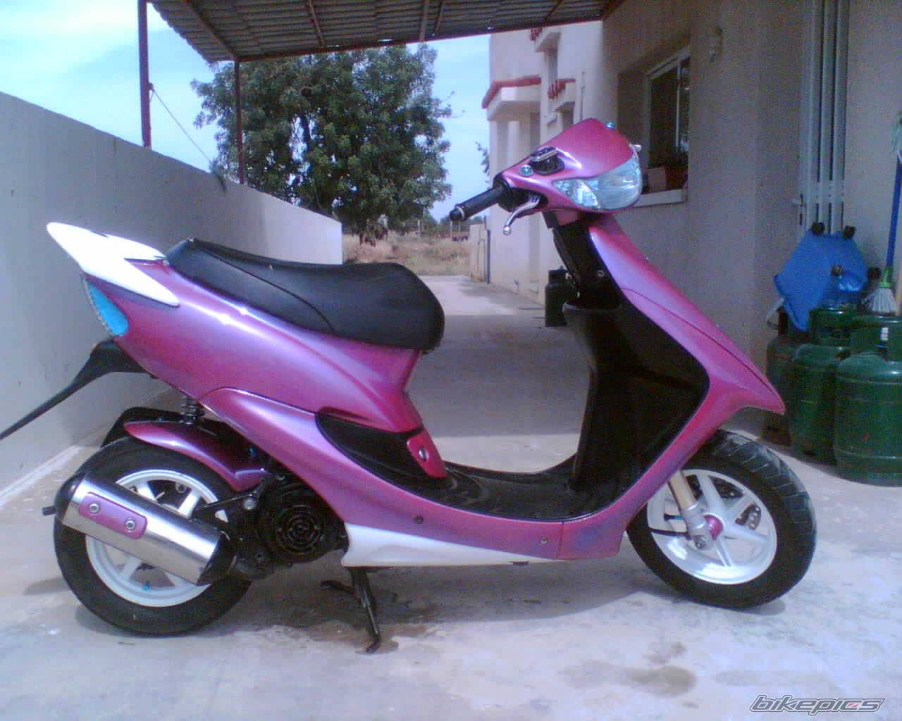 Photo 474879