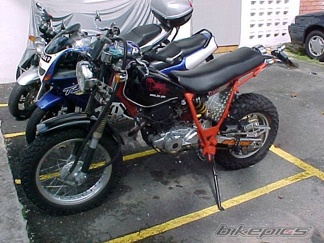 Photo 47505