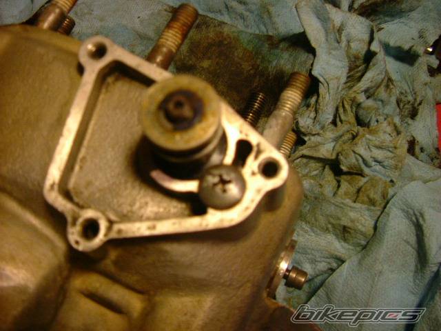 Photo 475053