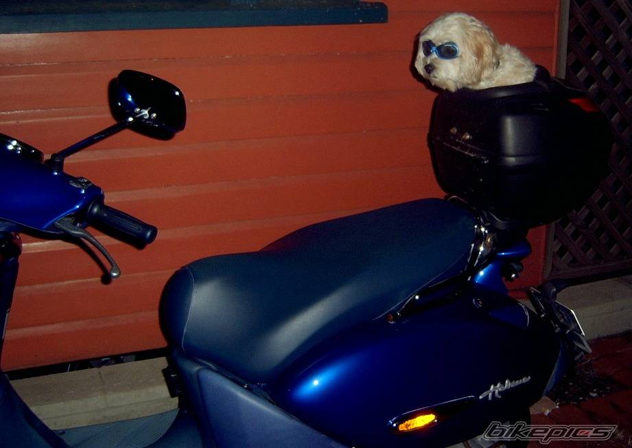 Photo 475154