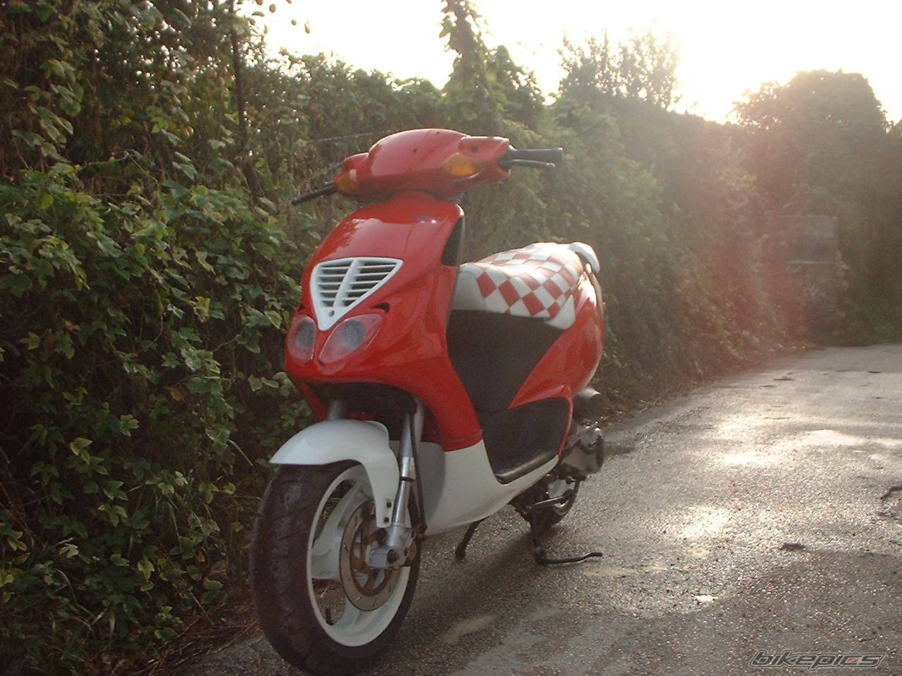 Photo 475258