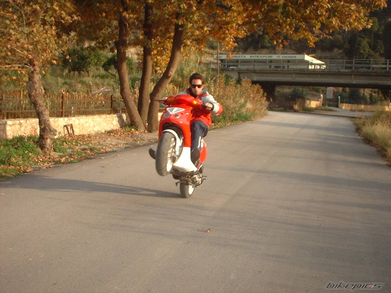 Photo 475262