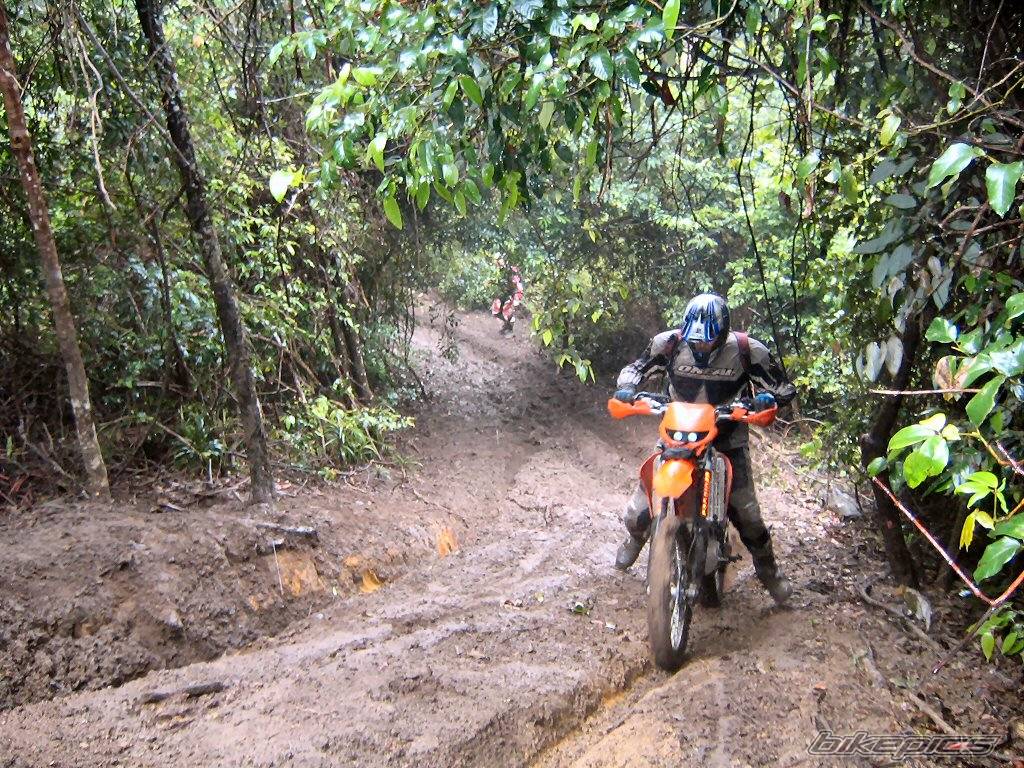 Bike Photo 475437