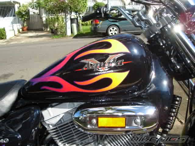 Photo 475526