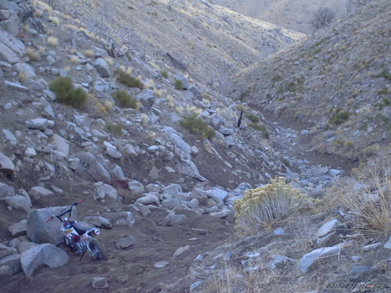 Bike Photo 475551