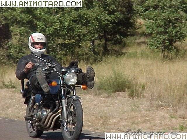 Photo 47568