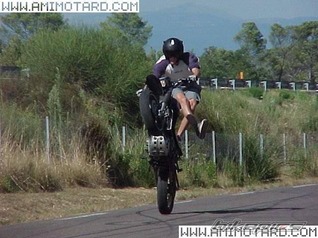 Photo 47570
