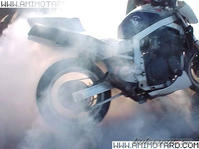 Photo 47575