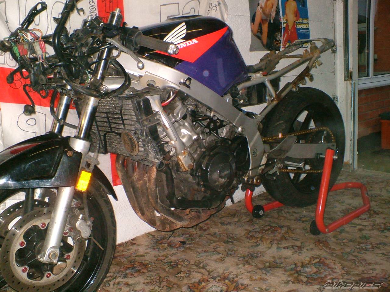 Bike Photo 475846