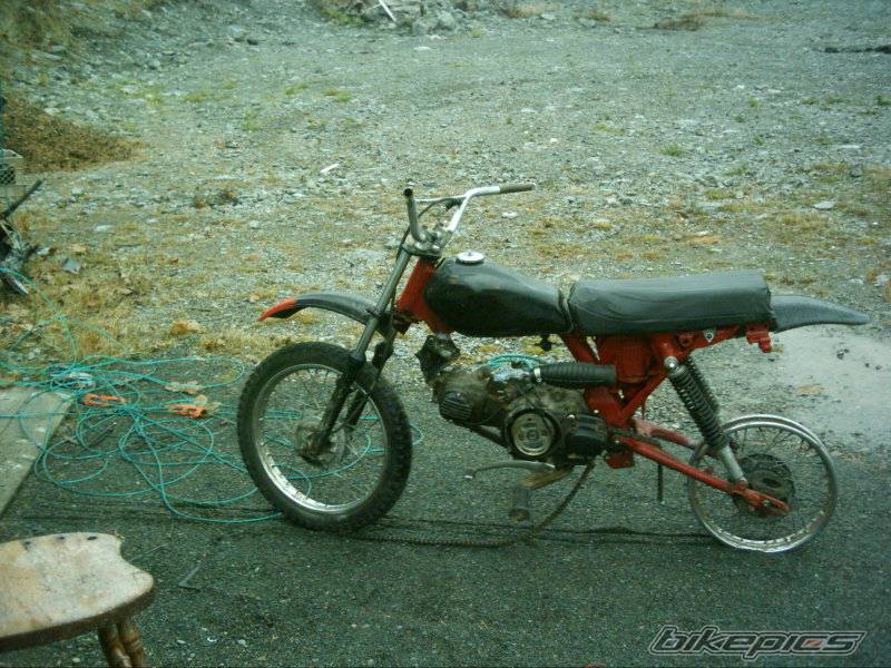 Photo 475855