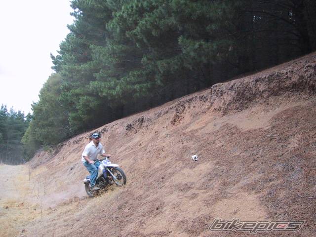 Photo 47586