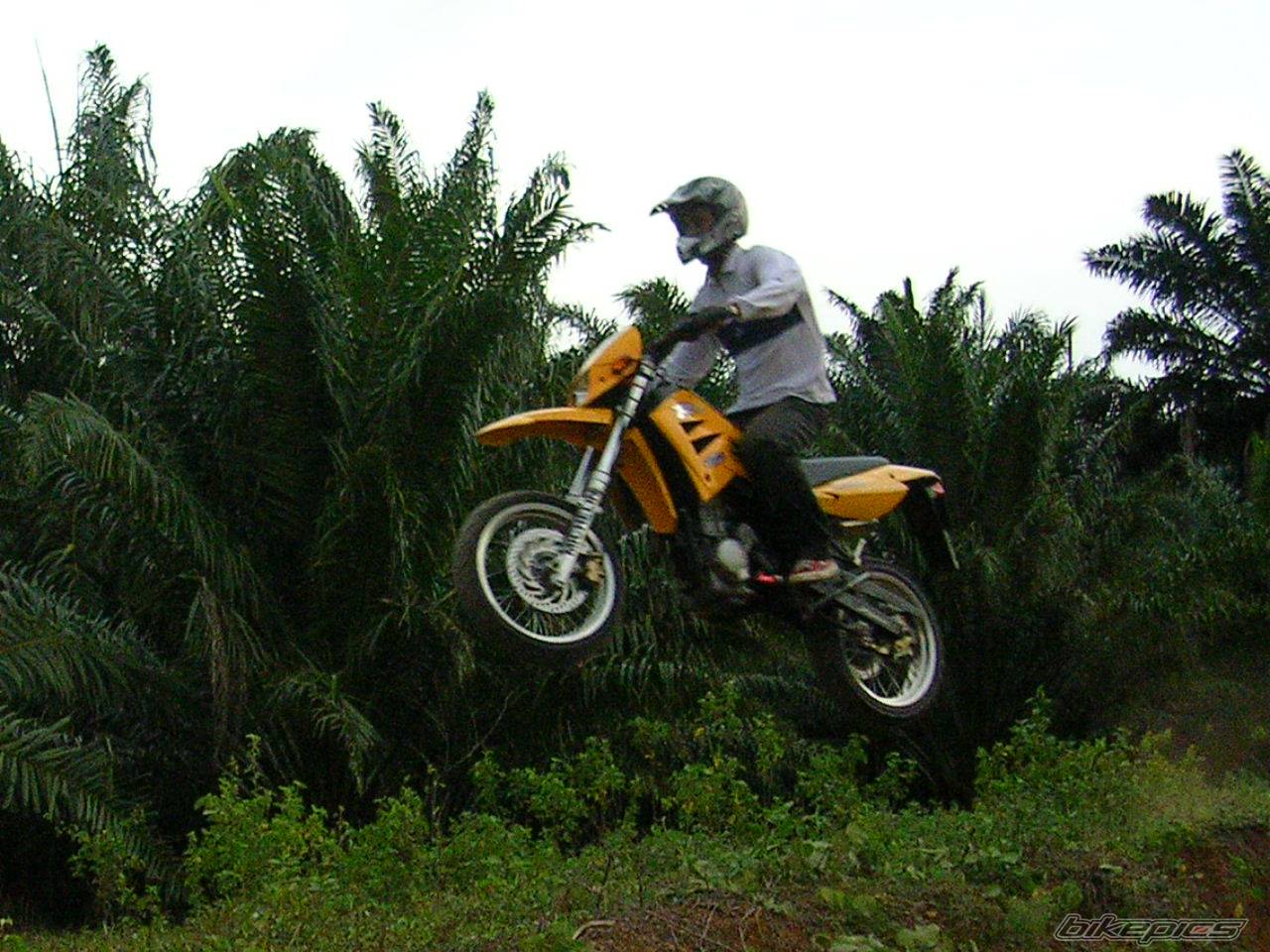 Photo 475910