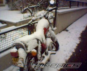 Photo 475977